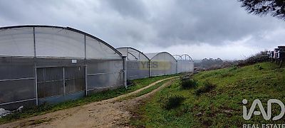 listing-picture-0