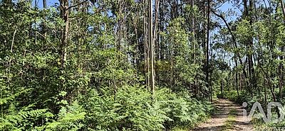 listing-picture-0