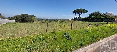 listing-picture-0