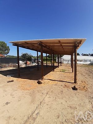 listing-picture-0