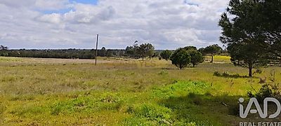 listing-picture-0