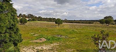 listing-picture-0