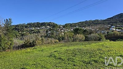 listing-picture-0