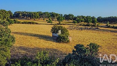 listing-picture-0