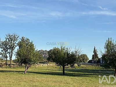 listing-picture-0