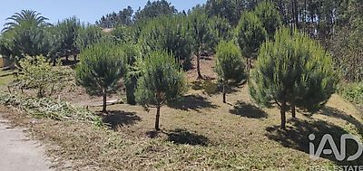 listing-picture-0