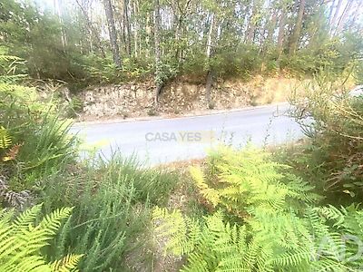 listing-picture-0