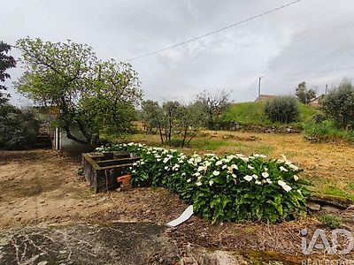 listing-picture-0