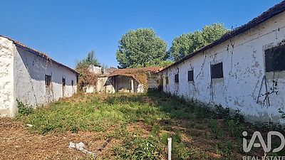 listing-picture-0