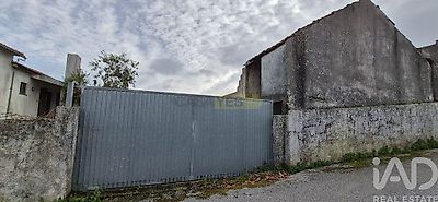 listing-picture-0