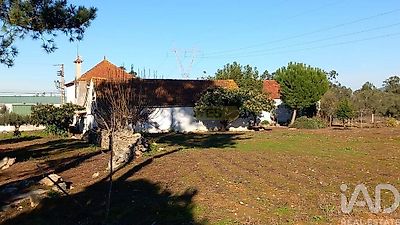 listing-picture-0