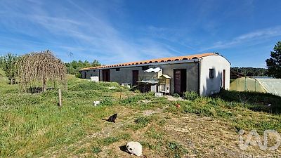 listing-picture-0