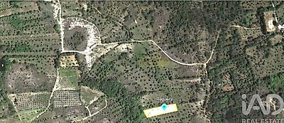listing-picture-0