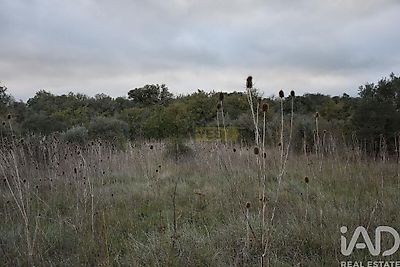 listing-picture-0