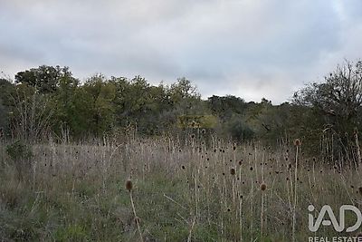 listing-picture-0