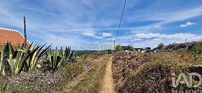 listing-picture-0