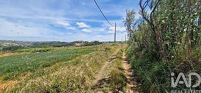 listing-picture-0