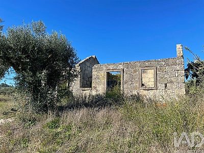 listing-picture-0