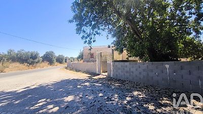 listing-picture-0