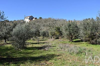 listing-picture-0