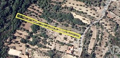listing-picture-0
