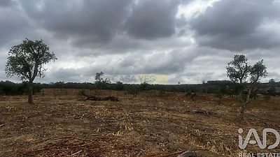 listing-picture-0
