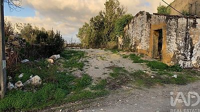 listing-picture-0