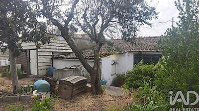 listing-picture-0