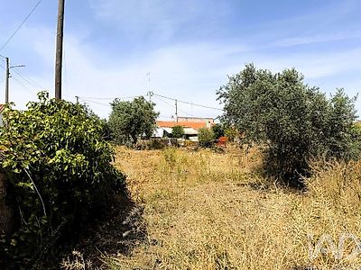 listing-picture-0