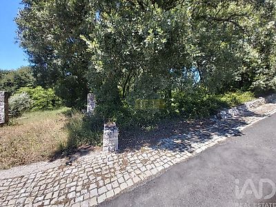 listing-picture-0