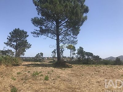 listing-picture-0