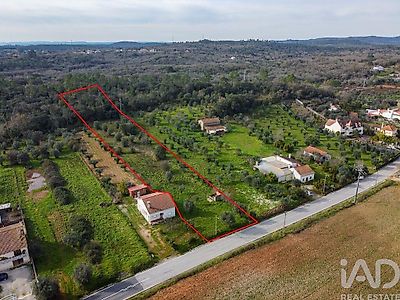 listing-picture-0