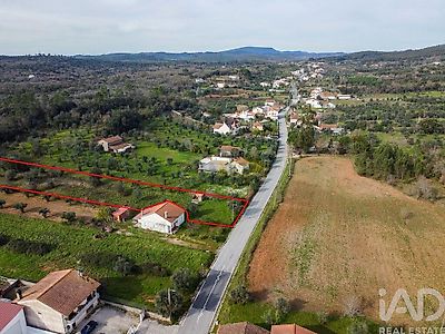 listing-picture-0