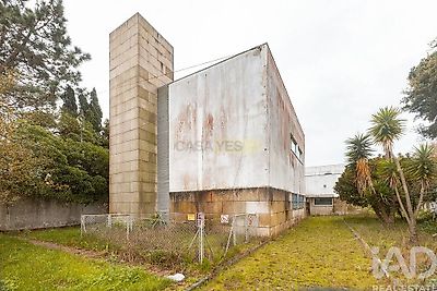 listing-picture-0