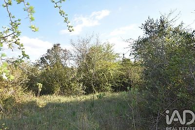 listing-picture-0
