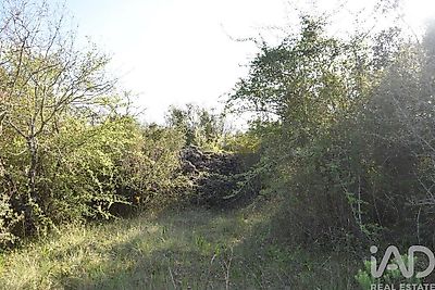 listing-picture-0