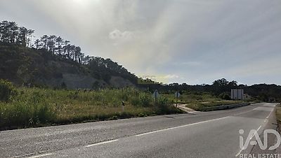 listing-picture-0