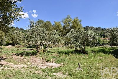 listing-picture-0