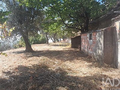 listing-picture-0