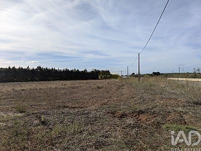 listing-picture-0