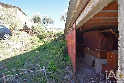 listing-picture-0