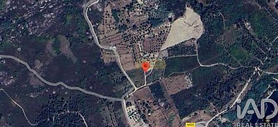 listing-picture-0