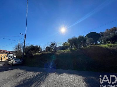 listing-picture-0