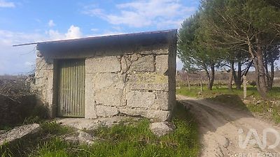 listing-picture-0