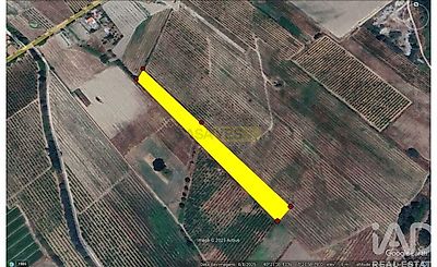 listing-picture-0