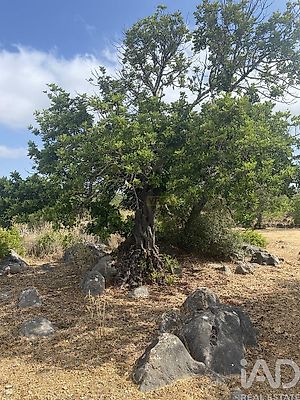 listing-picture-0