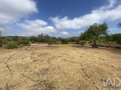 listing-picture-0