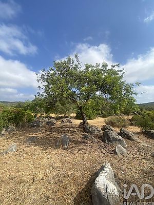 listing-picture-0