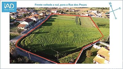 listing-picture-0