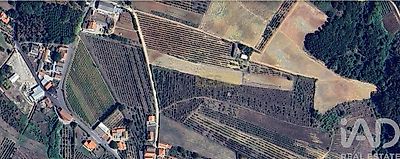 listing-picture-0